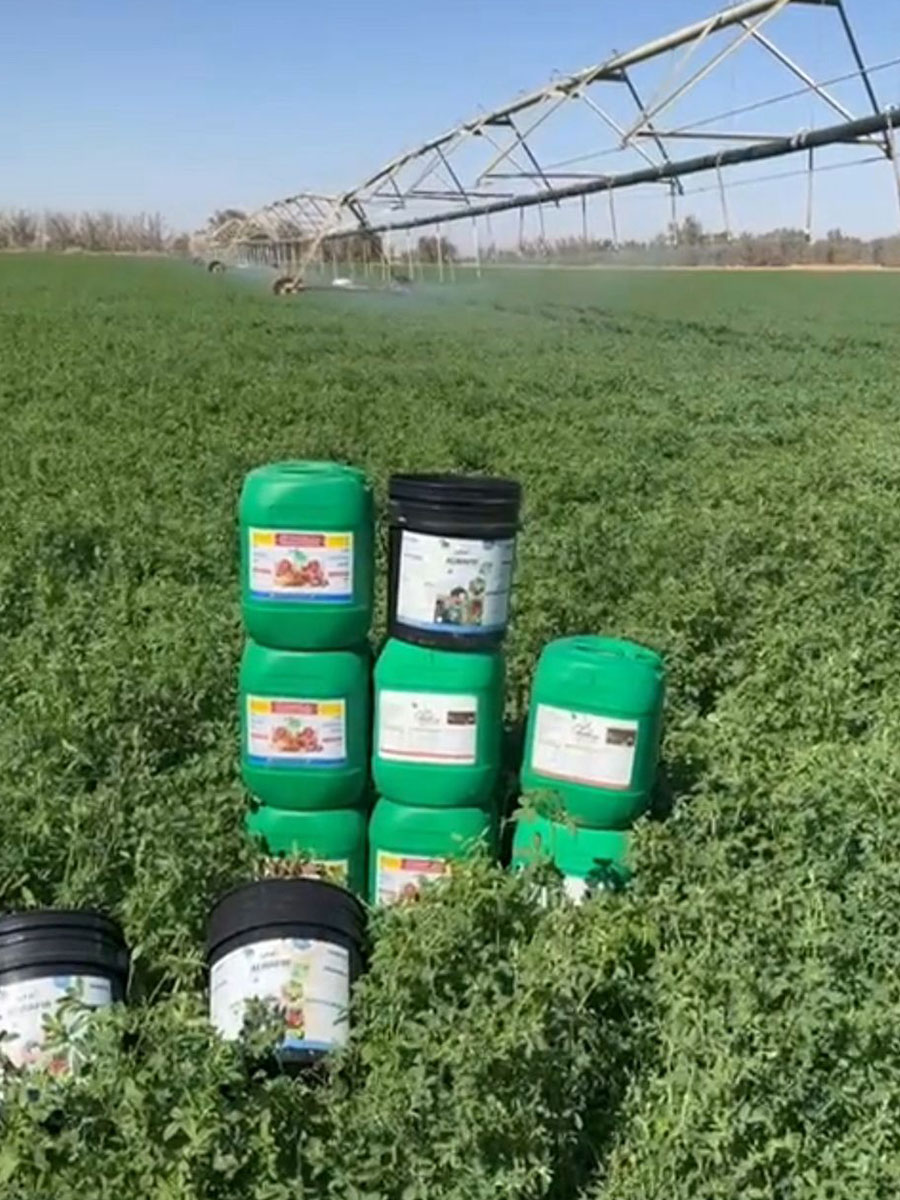 اسمدة في السعودية