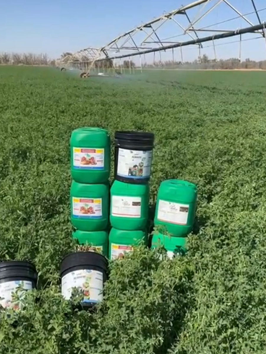 سماد في طبرجل