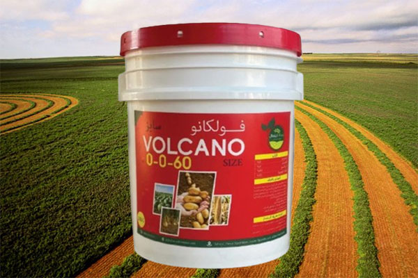 فولكانو سايز