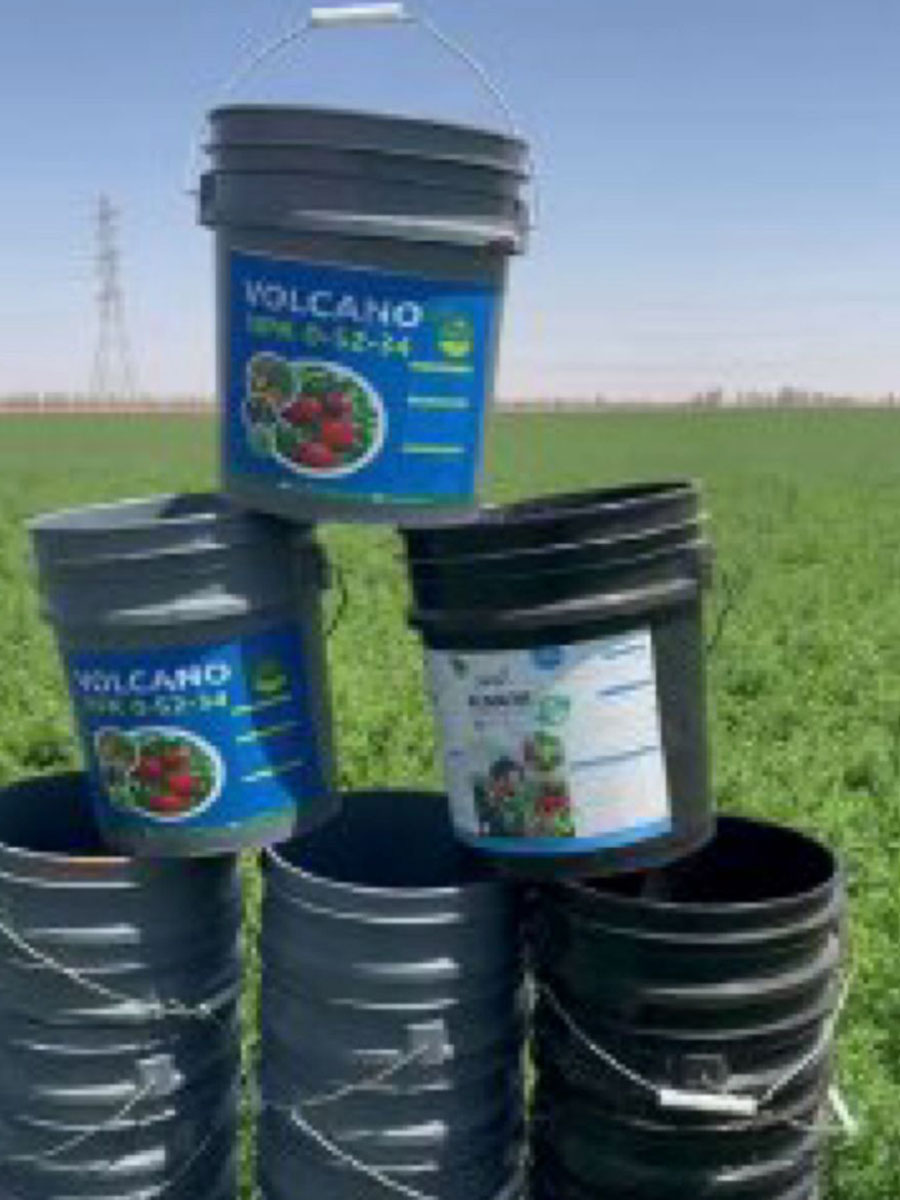 مصنع اسمدة في طبرجل